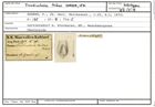 Karteikarte zum Holotyp von Frondicularia tribus Karrer, 1870